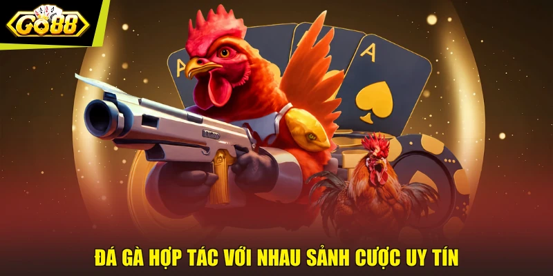 Đá gà hợp tác với nhau sảnh cược uy tín